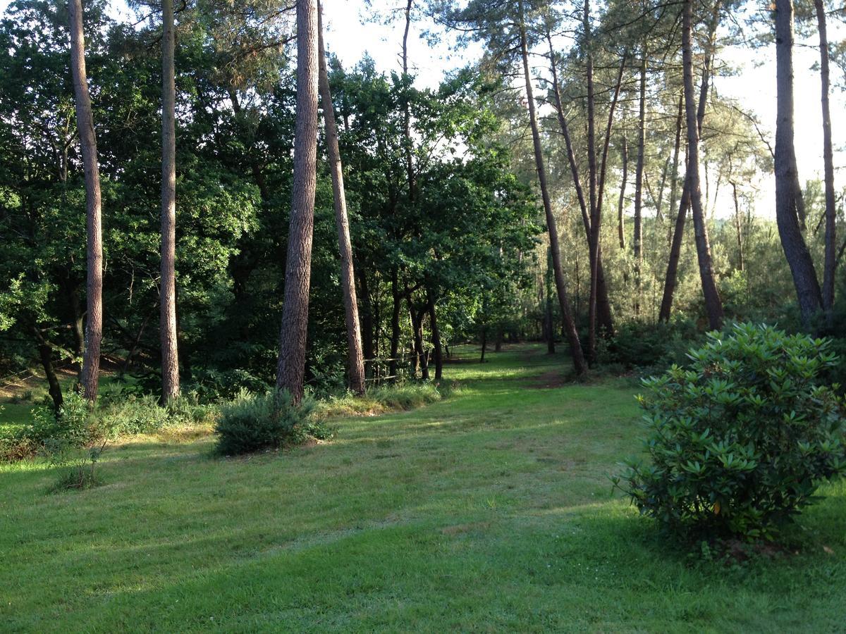 L'Hippocampe Bed and Breakfast Sérent Eksteriør billede