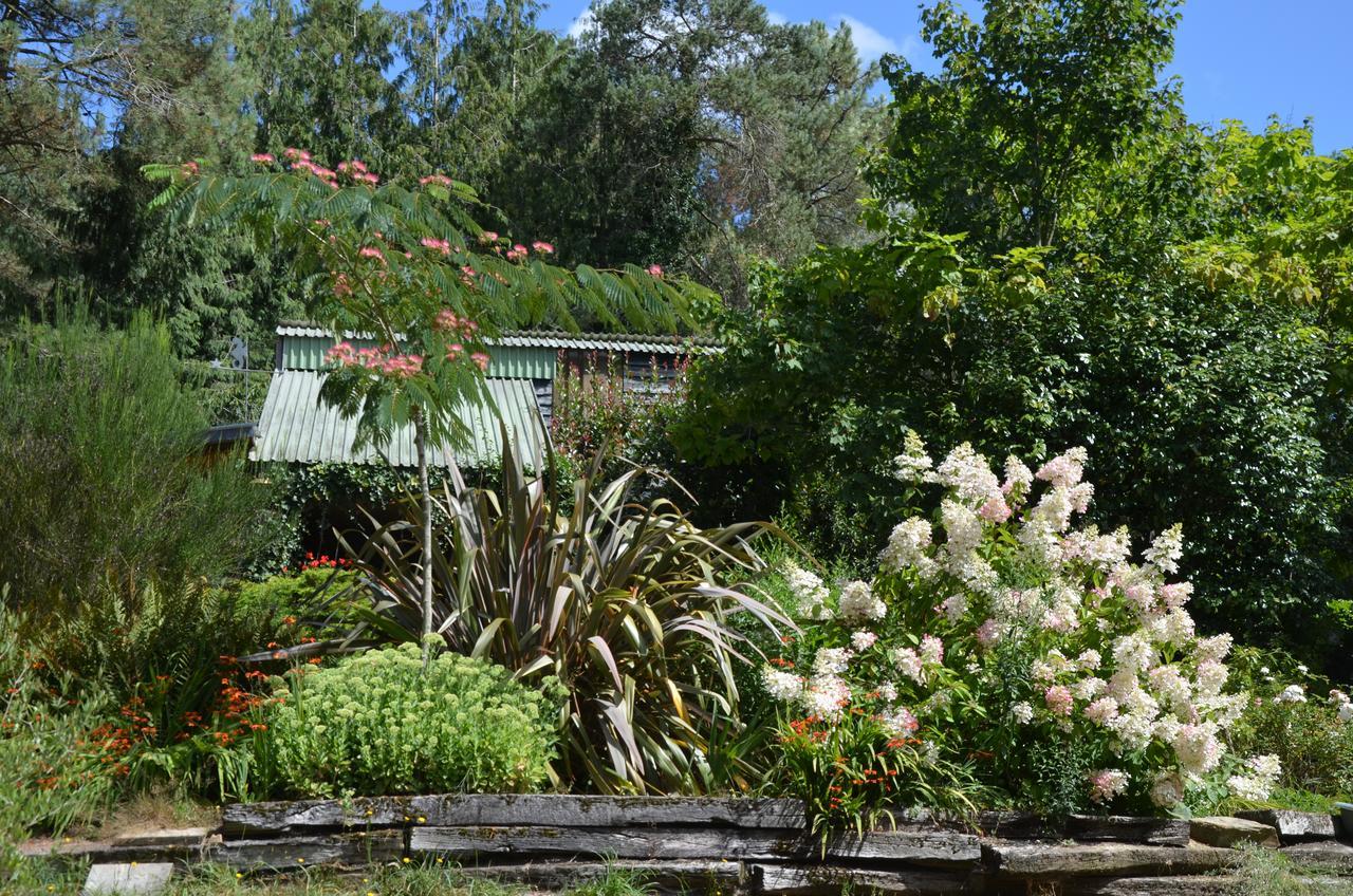 L'Hippocampe Bed and Breakfast Sérent Eksteriør billede